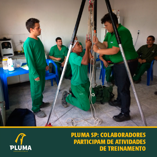 Pluma SP: colaboradores participam de atividades de treinamento